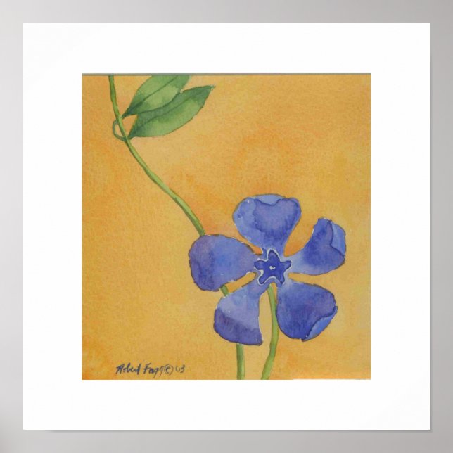 Simply Vinca Poster (Vorne)
