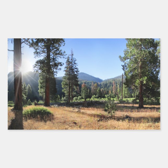 Simpson Meadow - Sierra Rechteckiger Aufkleber (Vorderseite)