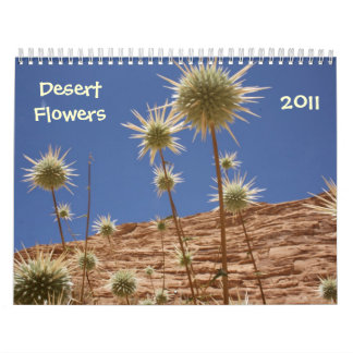 Sinai-Wüsten-Blumen Kalender