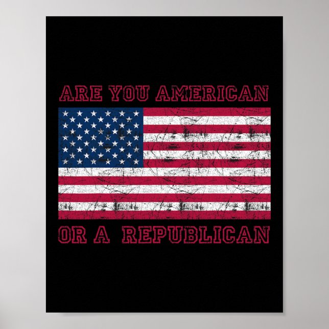 Sind Sie Amerikaner oder Republikaner  Poster (Vorne)