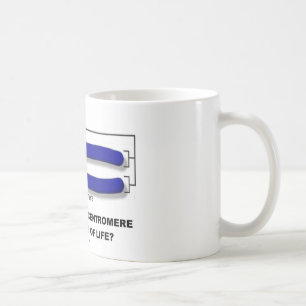 Sind Sie beim Centromere oder beim Telomere des Tasse