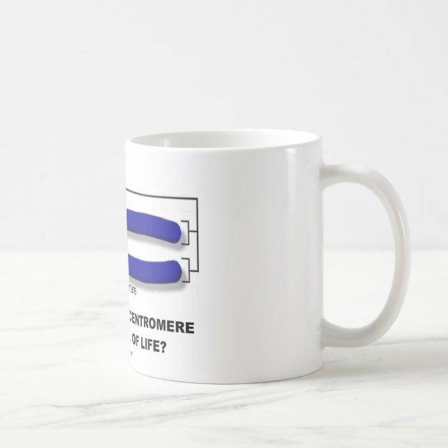 Sind Sie beim Centromere oder beim Telomere des Tasse (Rechts)