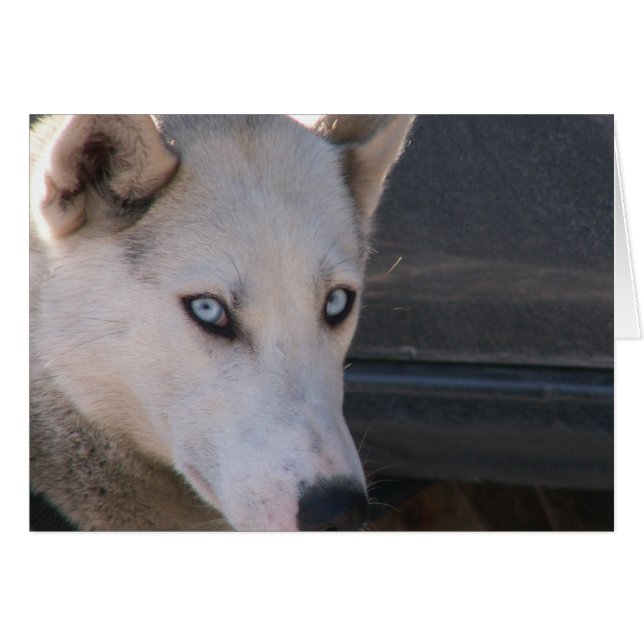 Sind Sie bereit? (Vorderseite (Horizontal))