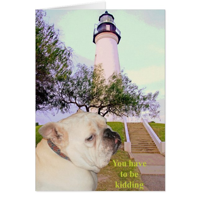 Sind Sie ernst? (Vorne)