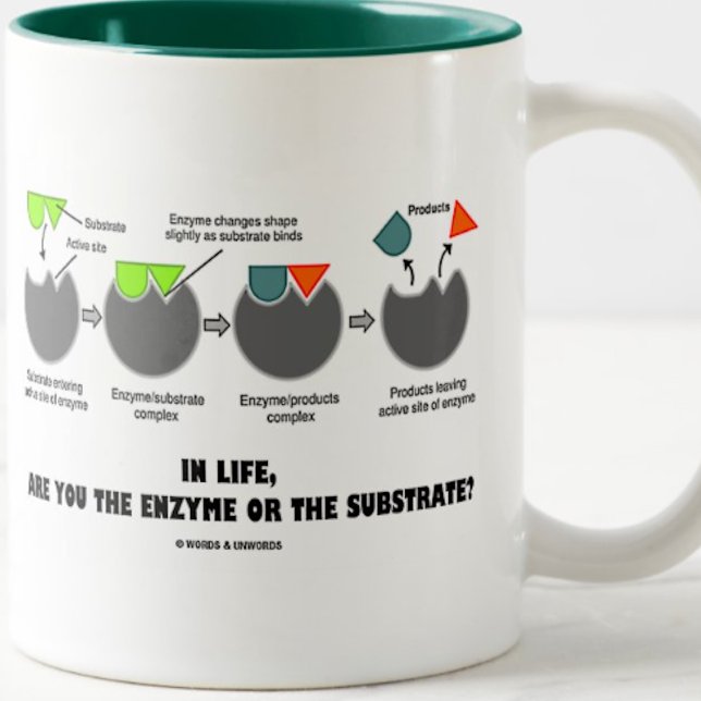 Sind Sie im Leben das Enzym oder das Substrat? Zweifarbige Tasse (Mug for any ponderous thinker in life featuring the induced-fit model)