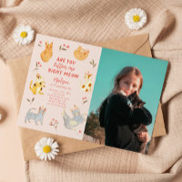 Sind Sie Kitten Me Cat Birthday Foto