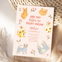 Sind Sie Kitten Me Cat Geburtstag?