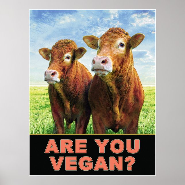 SIND SIE VEGAN? POSTER (Vorne)