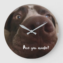 Sind Sie wach, die Uhr?