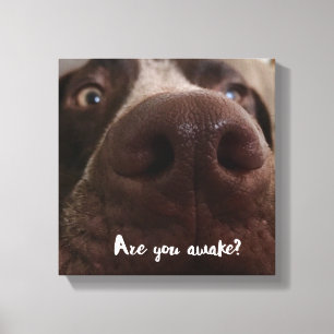 Sind Sie wach? Leinwanddruck