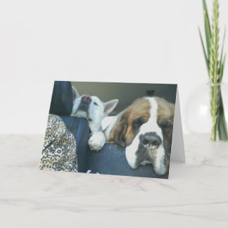 SIND WIR DORT SCHON? NOTECARD KARTE