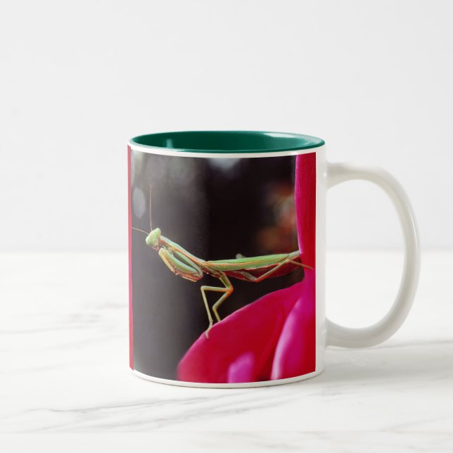 Sind wir eingeführt worden? zweifarbige tasse (Rechts)