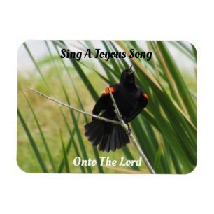 Sing a Joysong - Backyard Bird Quote Magnet