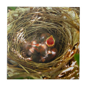 Sing out Art Tile Fliese