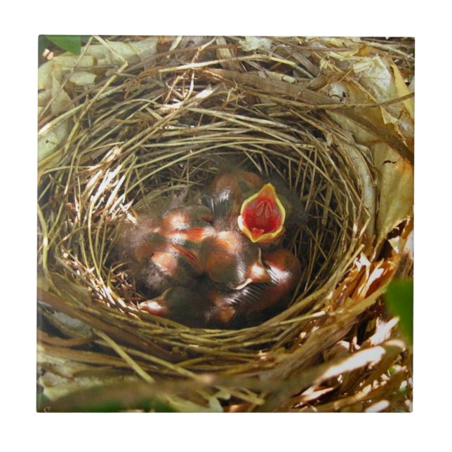 Sing out Art Tile Fliese (Vorderseite)