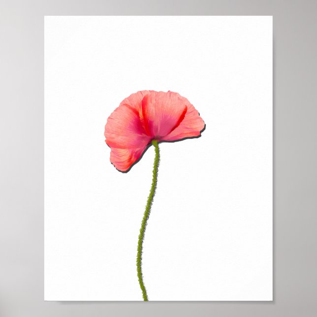 Sing Rote Mohn Blume minimalistisch Einfachheit Poster (Vorne)