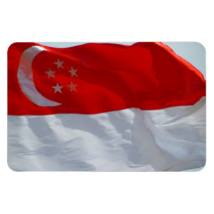 Singapore-Flagge Magnet