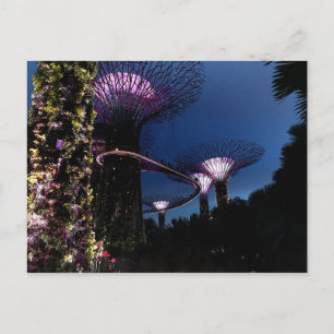 Singapore Gardens by Bay #2 Postcard Postkarte