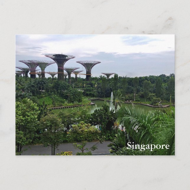 Singapore Gardens by Bay Postkarte (Vorderseite)