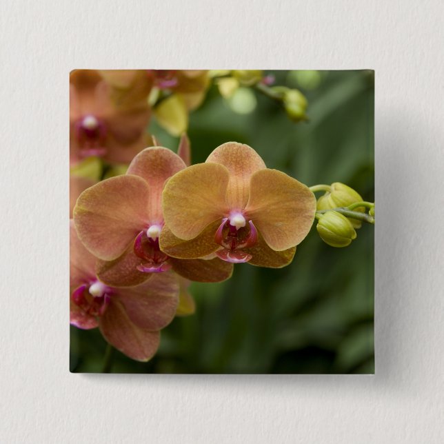 Singapore Sanskrit for Lion City). Nationalität 2 Button (Vorderseite)