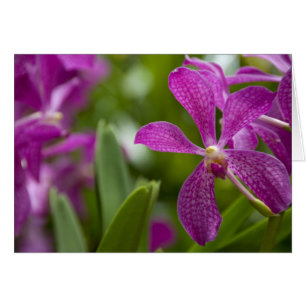 Singapore Sanskrit for Lion City). Nationalstaat