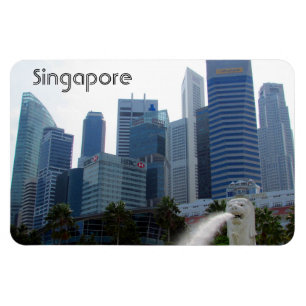 Singapore-Stadt Magnet