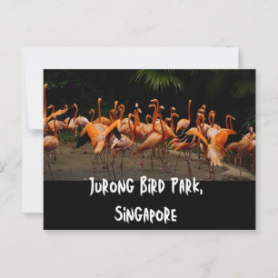 Singapore Travel Postcard Postkarte