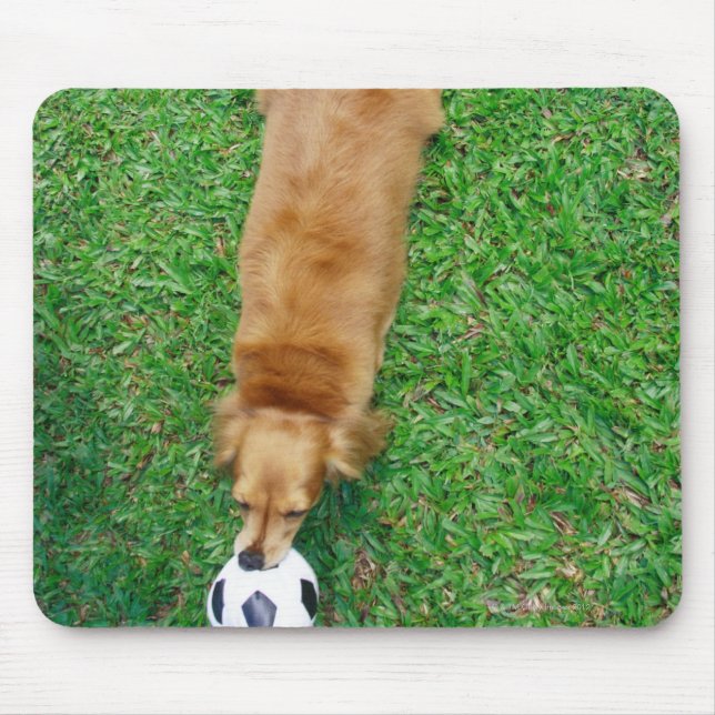Singapur 4 mousepad (Vorne)