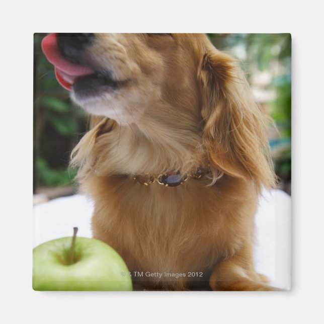 Singapur 5 magnet (Vorne)