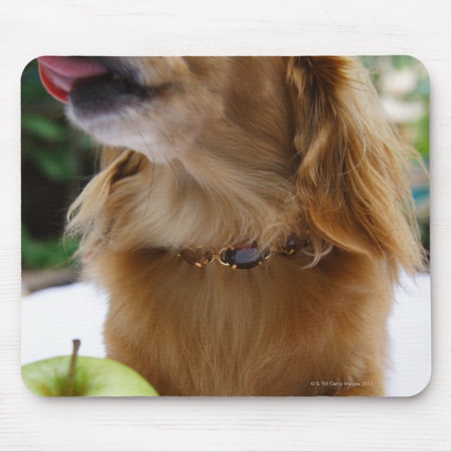 Singapur 5 mousepad (Vorne)