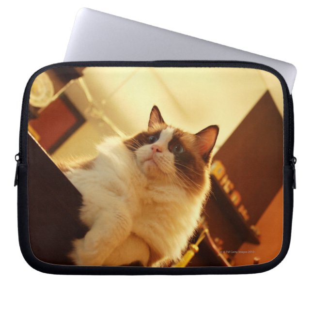 Singapur 6 laptopschutzhülle (Vorderseite)
