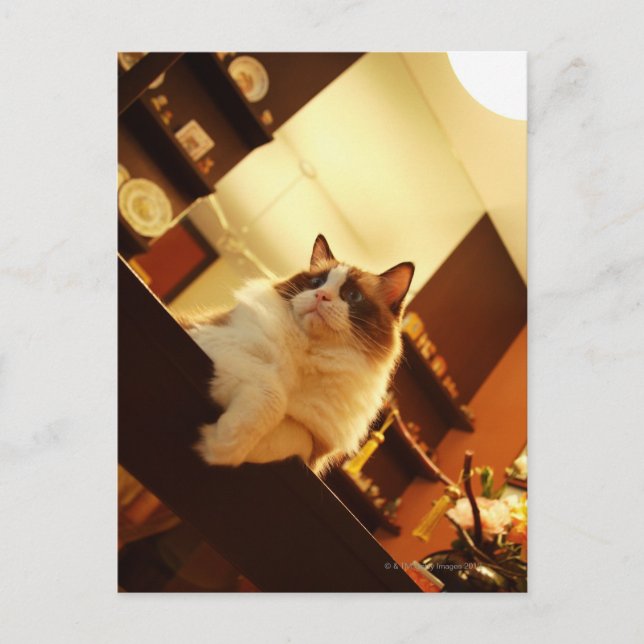 Singapur 6 postkarte (Vorderseite)