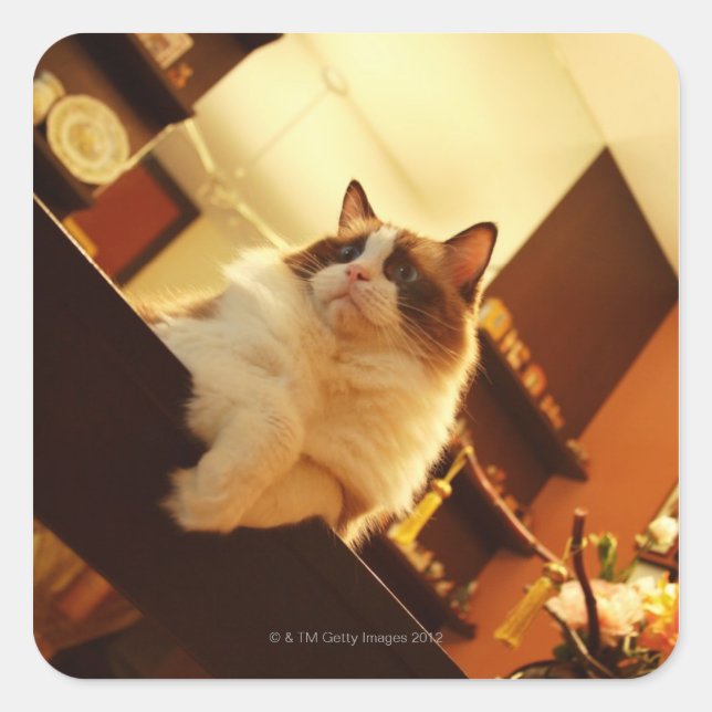 Singapur 6 quadratischer aufkleber (Vorderseite)