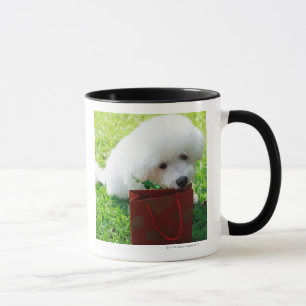 Singapur 7 tasse