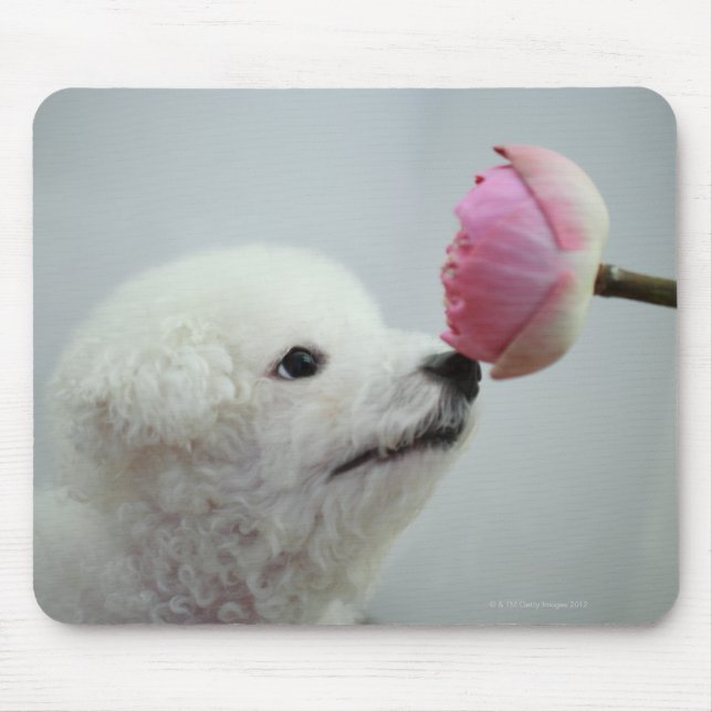 Singapur 9 mousepad (Vorne)