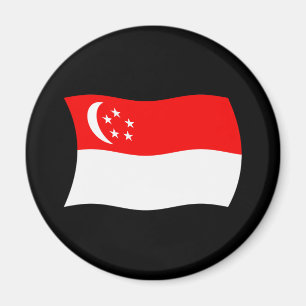 Singapur Flag Magnet