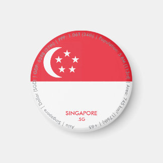 Singapur-Flaggenmagnet Magnet