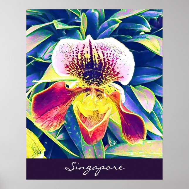 Singapur Orchid reist nach Südostasien Poster (Vorne)
