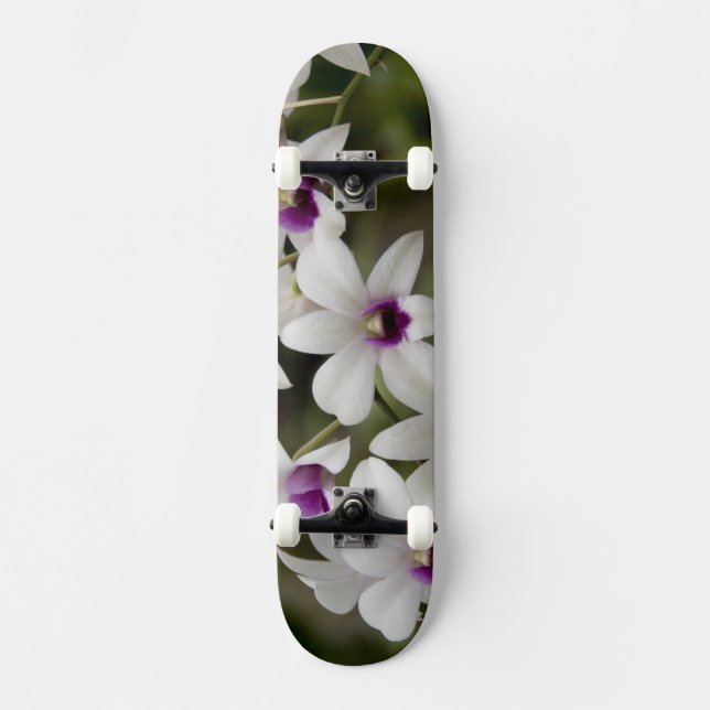 Singapur (Sanskrit for Lion City). Nationalität 2 Skateboard (Vorderseite)