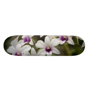 Singapur (Sanskrit for Lion City). Nationalität 2 Skateboard