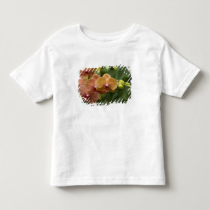 Singapur (Sanskrit für Löwenstadt). National 2 Kleinkind T-shirt