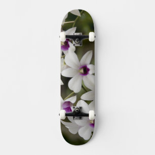 Singapur (Sanskrit für Löwenstadt). National 2 Skateboard