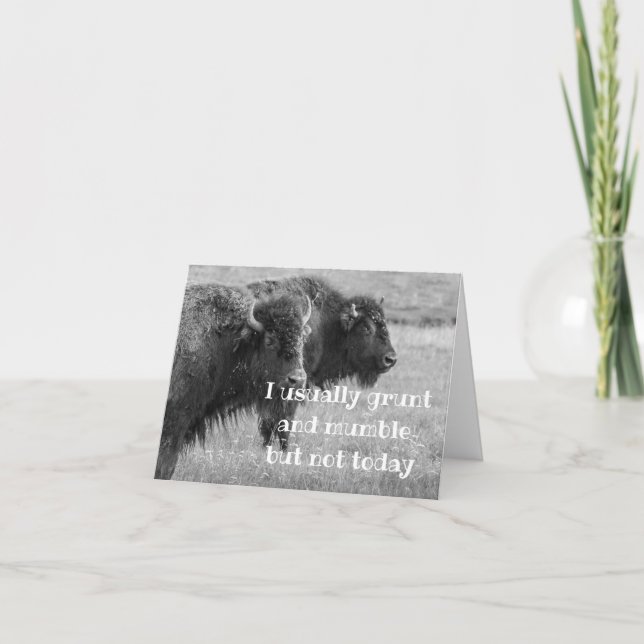 SINGBUFFALO ***GLÜCKLICHER BIRTHAG*** KARTE (Vorderseite)