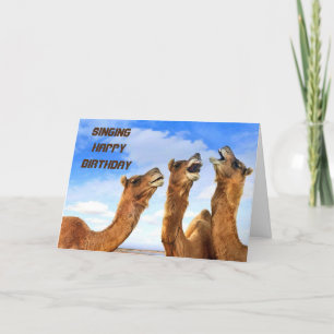 SINGCAMELS SING **GLÜCKLICHER GEBURTSTAG** KARTE
