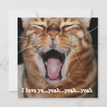 Singende Bengalkatze Geburtstag Valentinstag Mutte