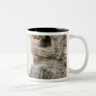 Singhat Wat Thammikarat 2 Zweifarbige Tasse
