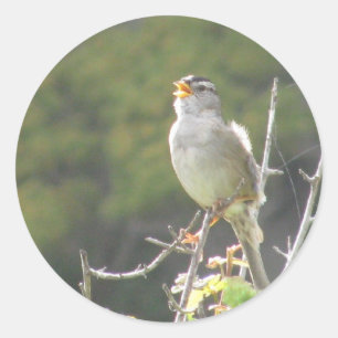 Singing Bird Runder Aufkleber
