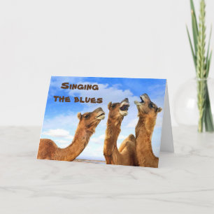 SINGING CAMELS SING THE BLUES-GET WELL KARTE