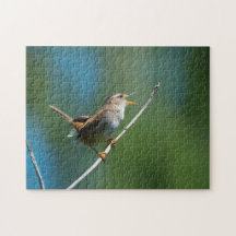 Singing Marsh Wren Puzzle