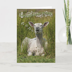 Singing Sheep Geburtstags Grußkarte, Happy Birth Karte